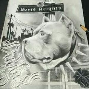 Meet your Posher, Pablo